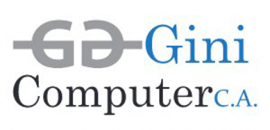 gini computer